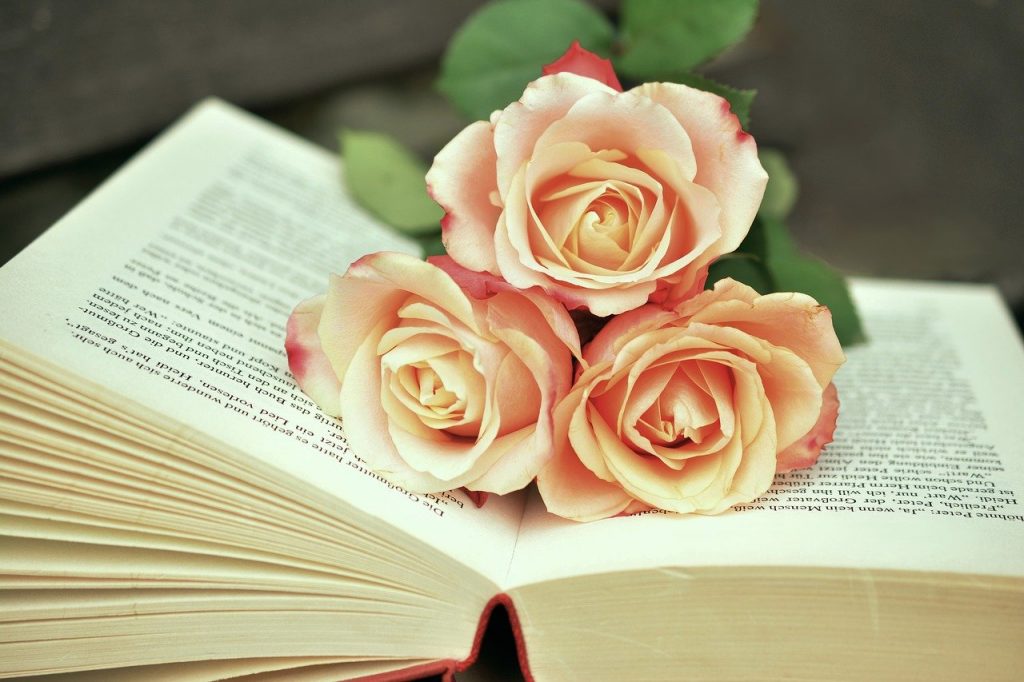 Picture of 3 pink roses on an open book.