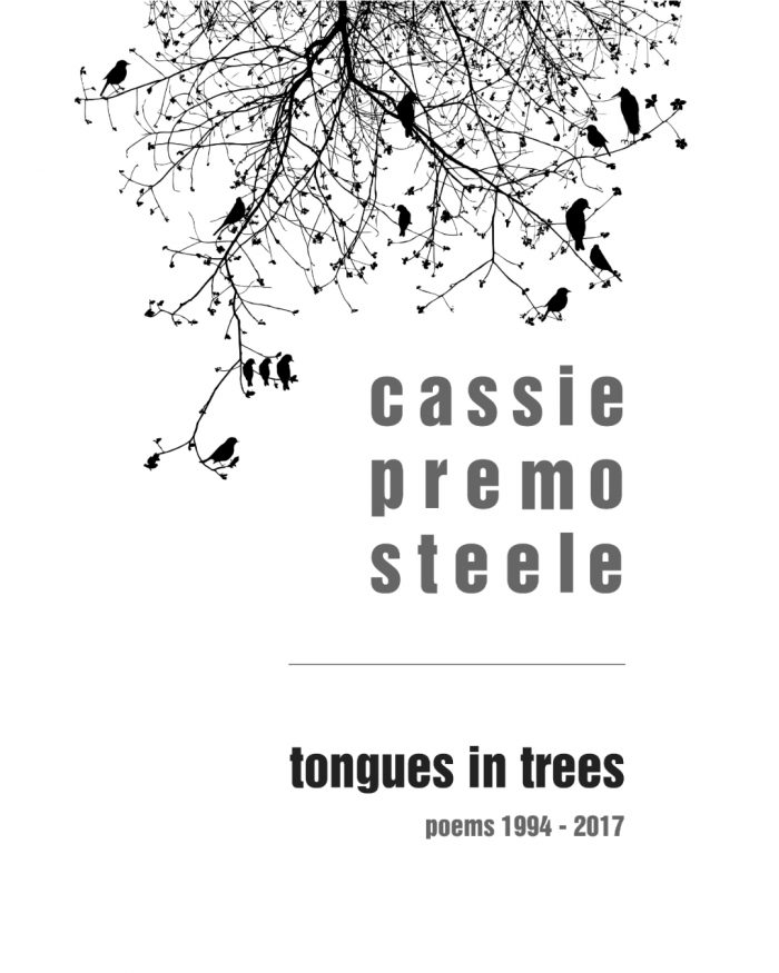 Promopalooza - Cassie Premo Steele