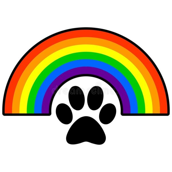 rainbow bridge