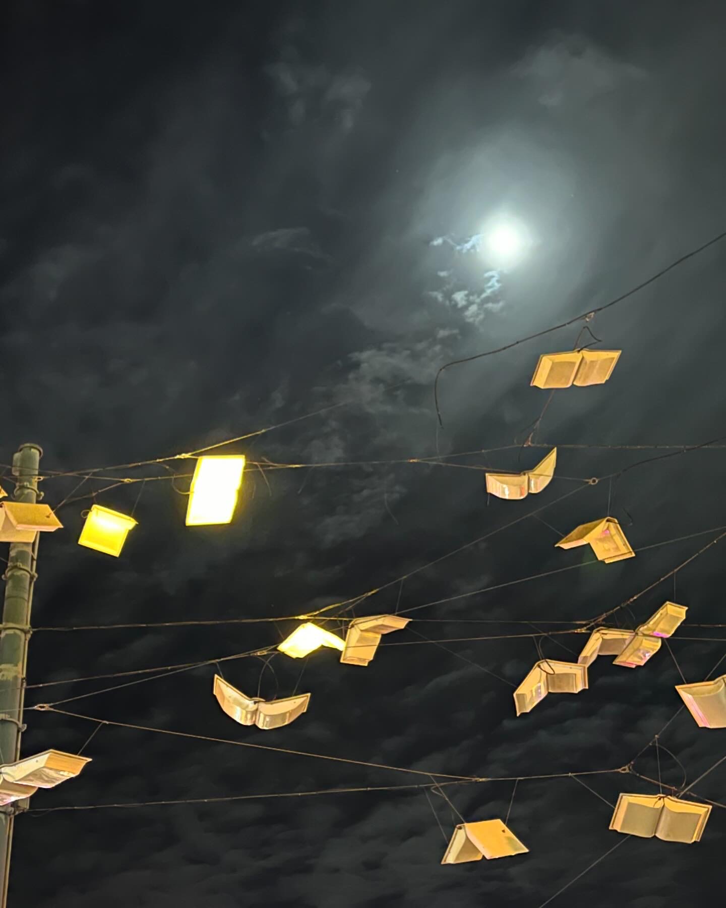 Poet Pick – Amy Forstadt