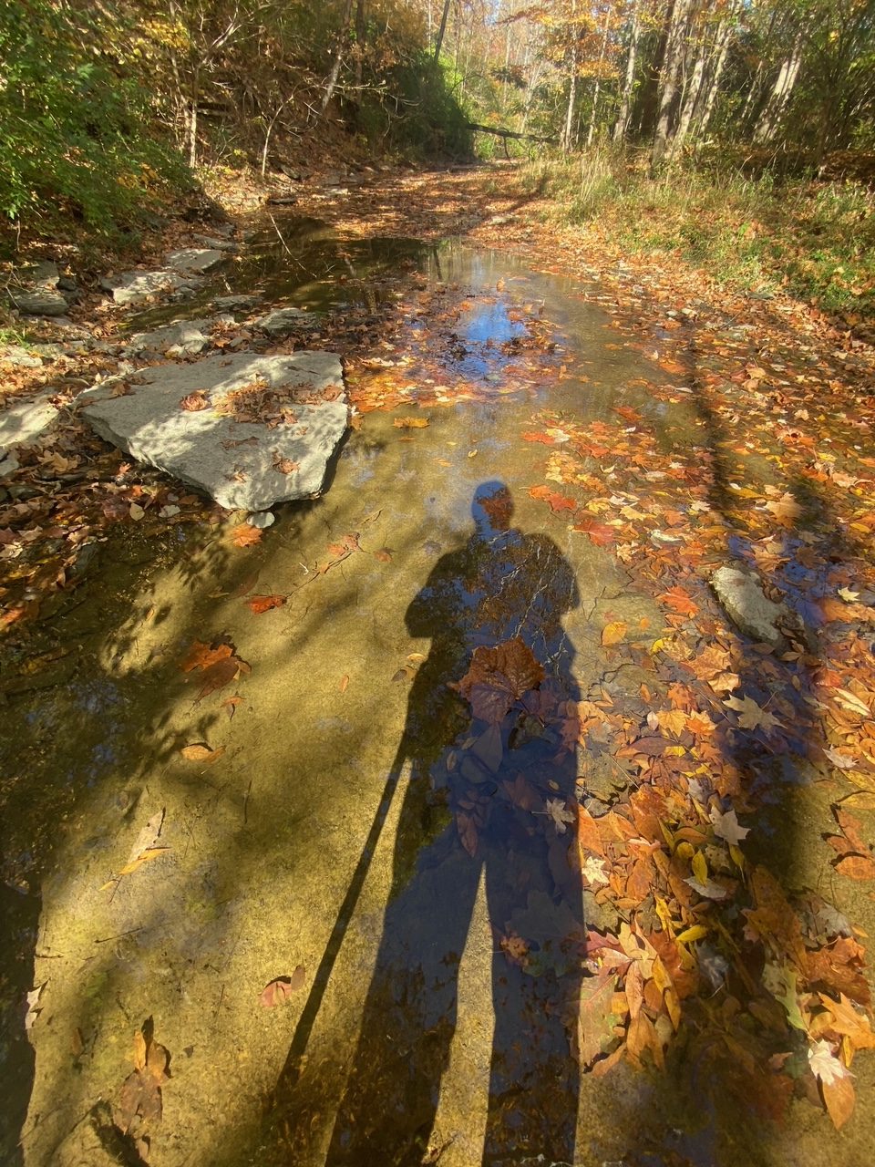 Poet Pick – Chuck Stringer