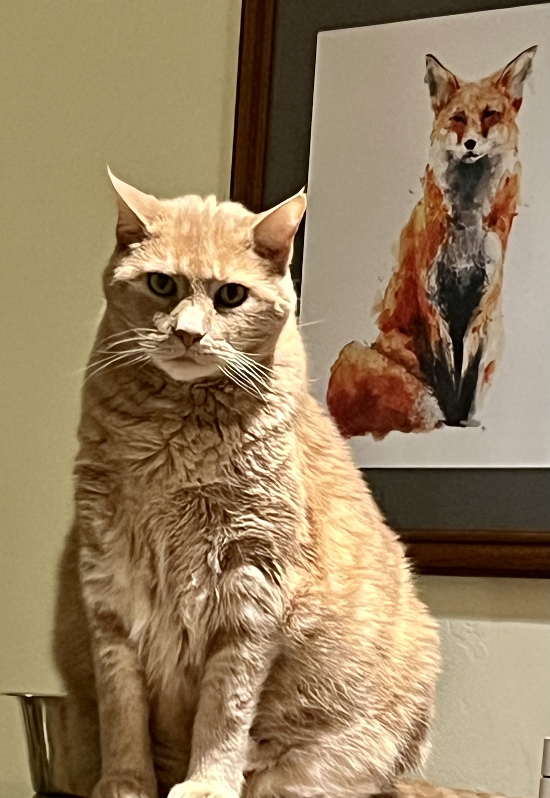 Poet Pick – Deanna Kern Ludwin