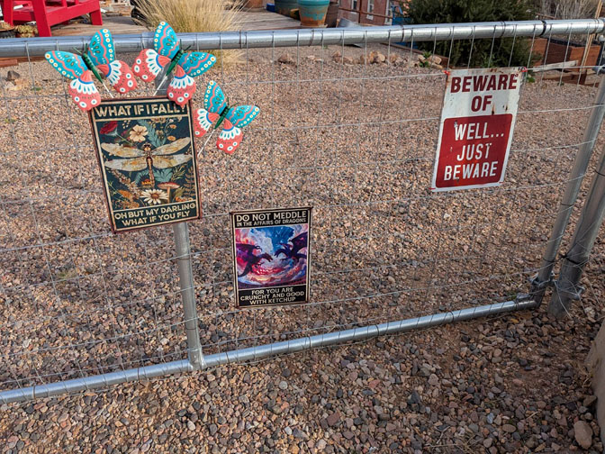 Poet Pick – Miriam Sagan