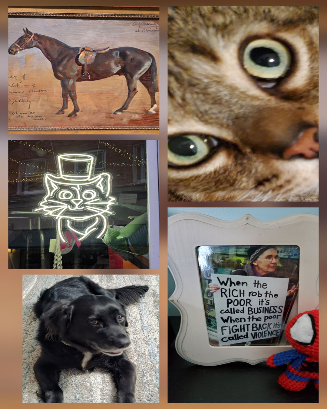 Poet Pick – Roy N. Mason