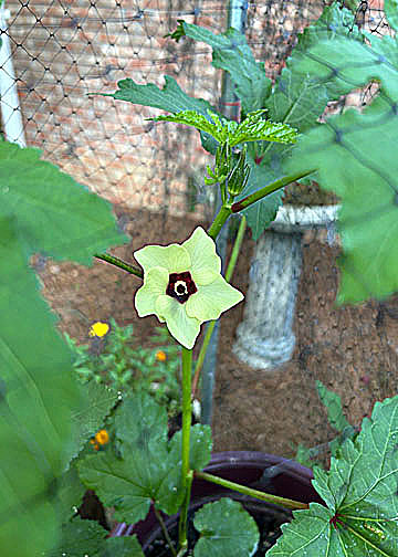 Poet Pick – Sarah Banks