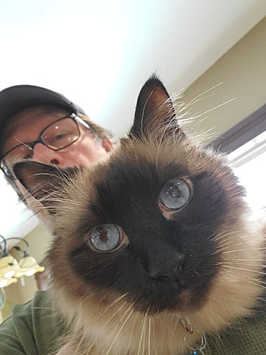 Poet Pick – Sean Whalen